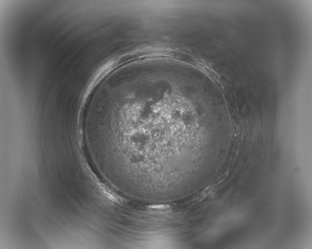 X0000063450053200601231403