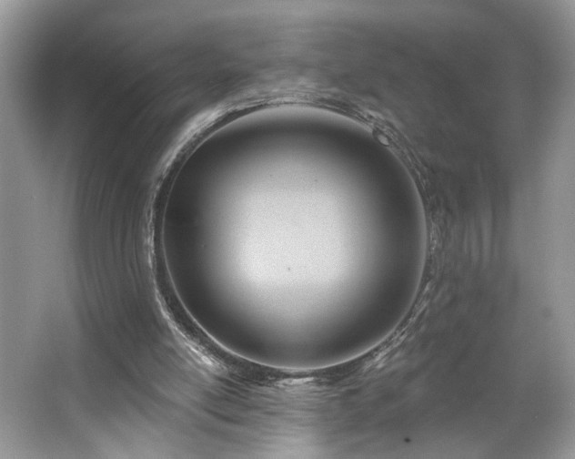 X0000063450054200601231403