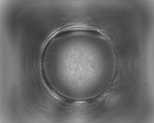 X0000063450055200601231403