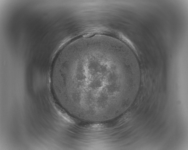 X0000063450059200601231403