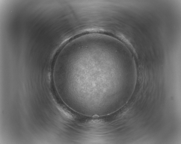 X0000063450063200601231403