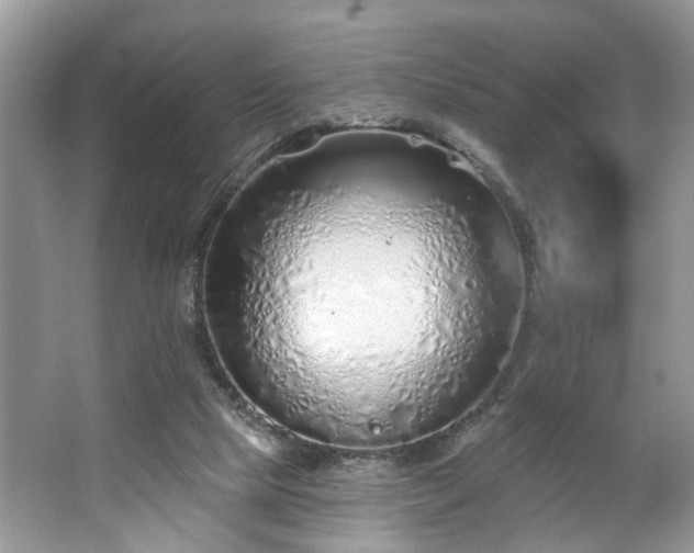 X0000063450065200601231403