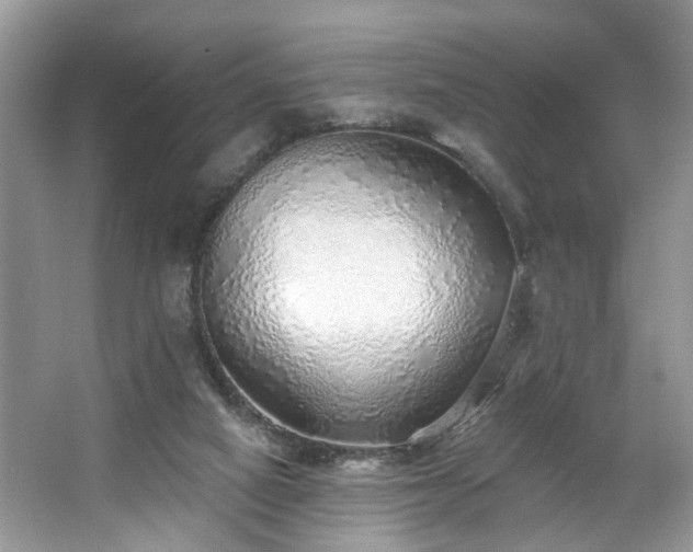 X0000063450066200601231403