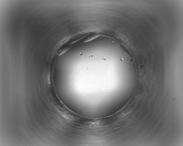 X0000063450068200601231403