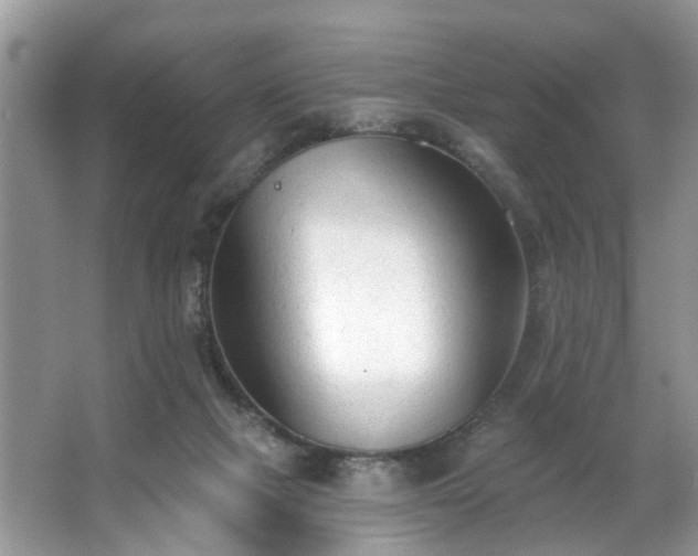 X0000063450073200601231403