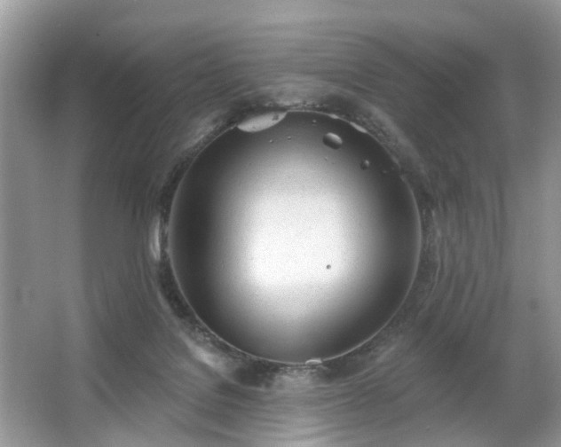 X0000063450076200601231403