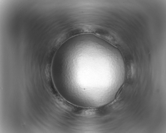 X0000063450078200601231403