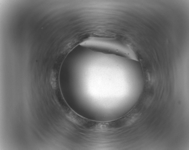 X0000063450080200601231403