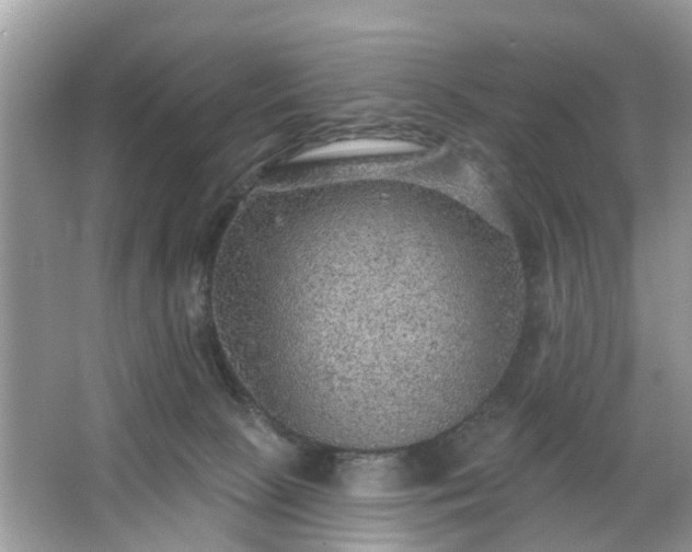 X0000063450081200601231403