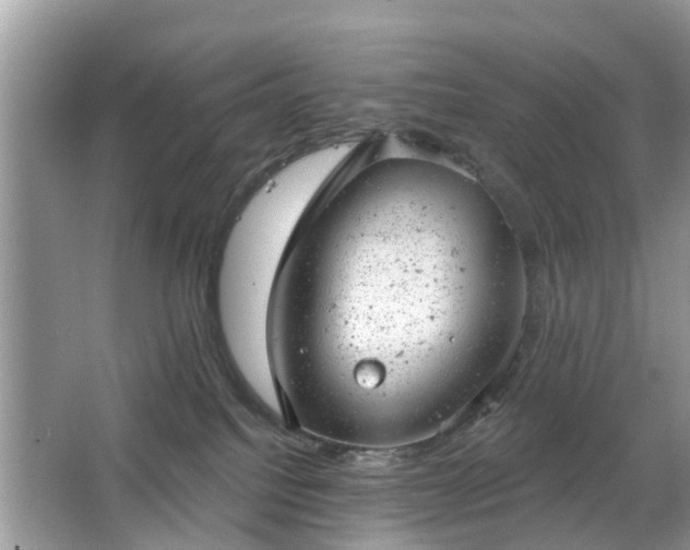 X0000063450088200601231403