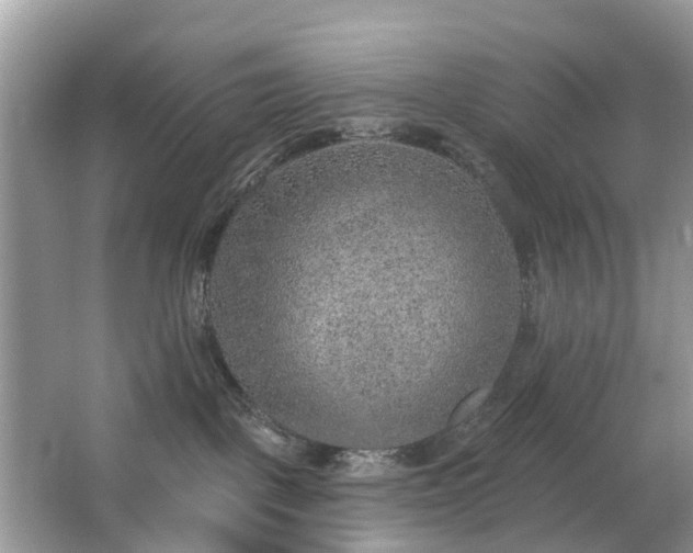 X0000063450093200601231403