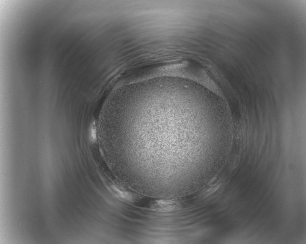 X0000063450095200601231403