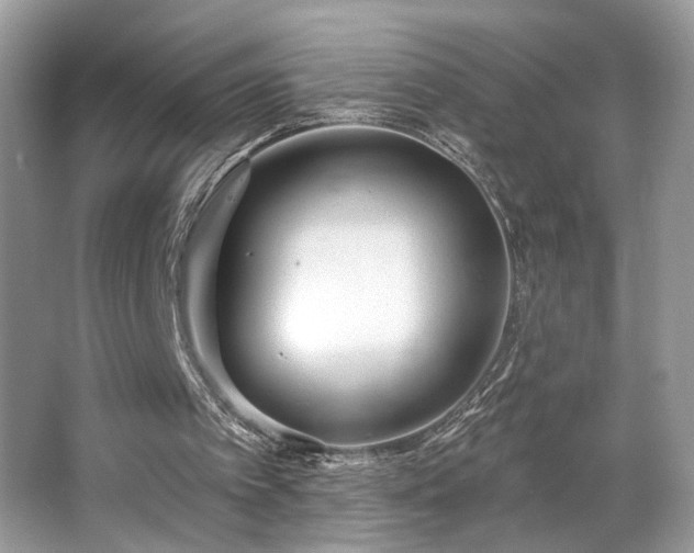 X0000063450097200601231402