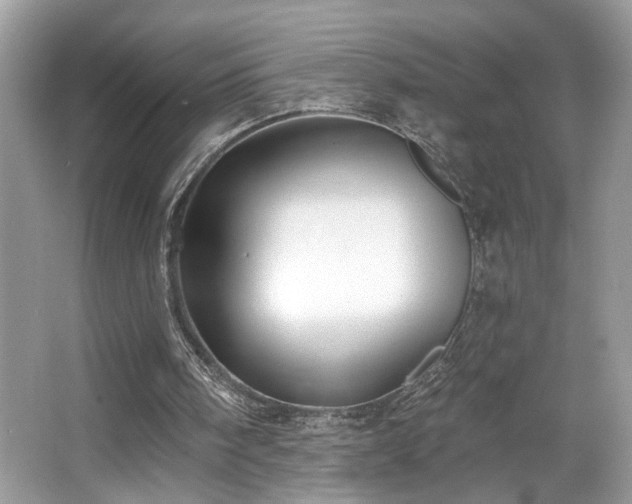 X0000063450098200601231402