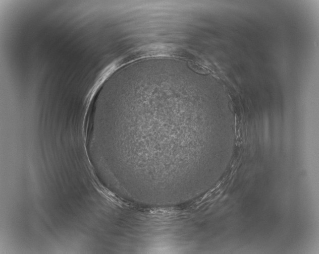 X0000063450099200601231402