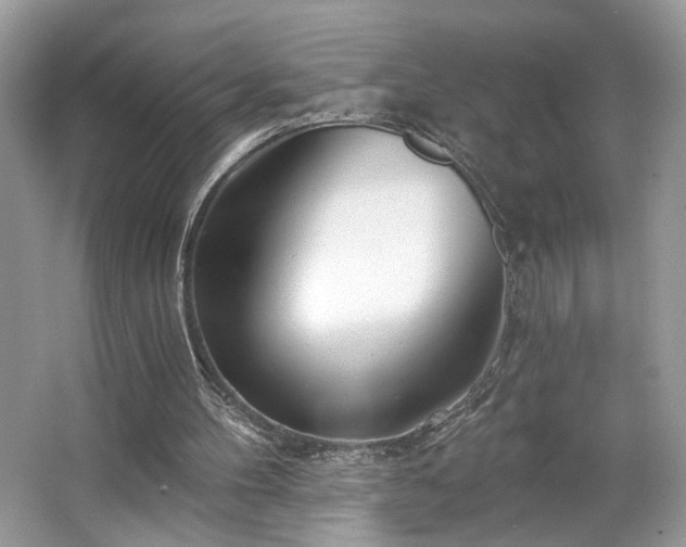 X0000063450100200601231402