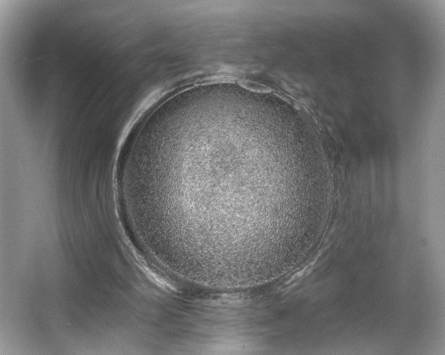 X0000063450102200601231402