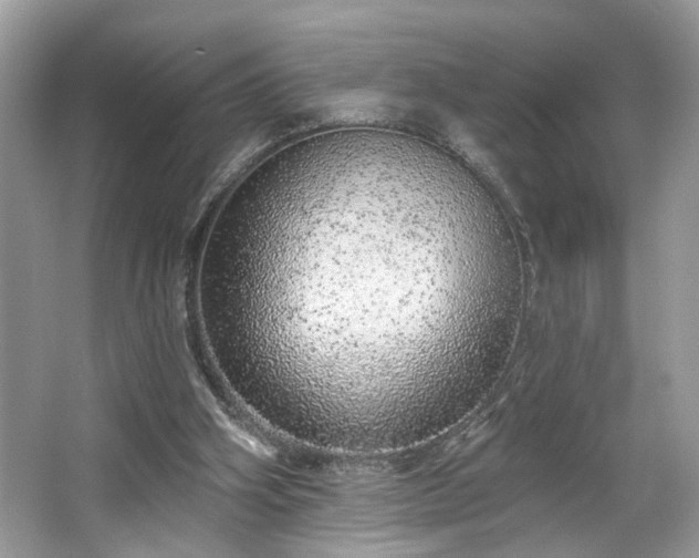 X0000063450106200601231402