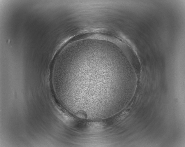 X0000063450107200601231402