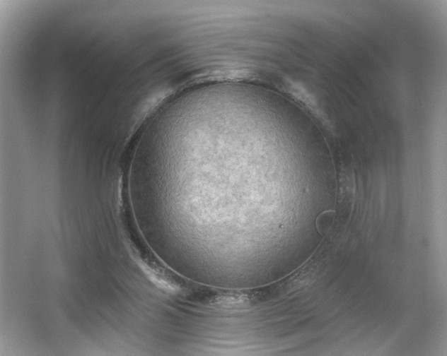 X0000063450110200601231402