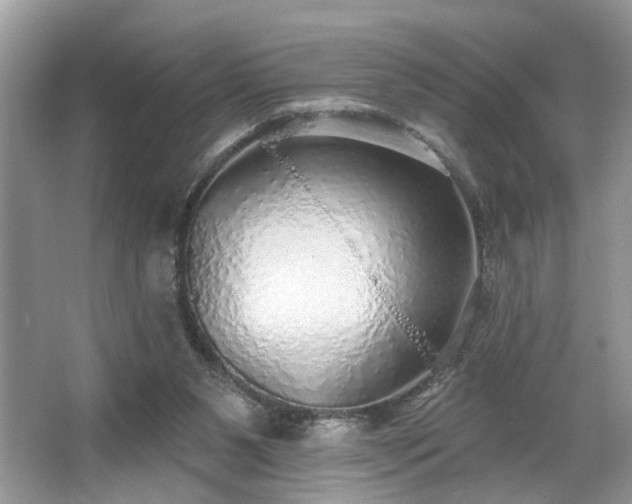 X0000063450111200601231402