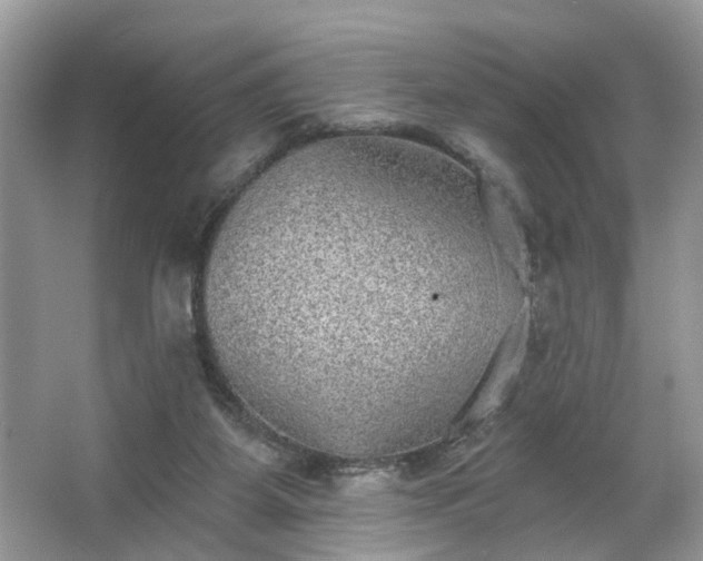 X0000063450115200601231402