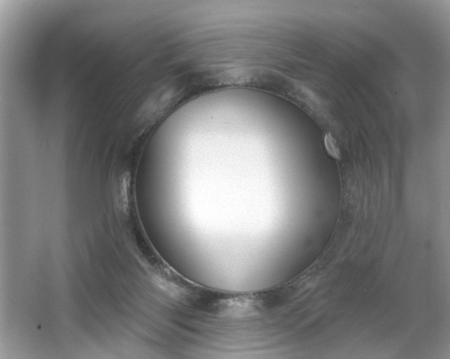 X0000063450118200601231402