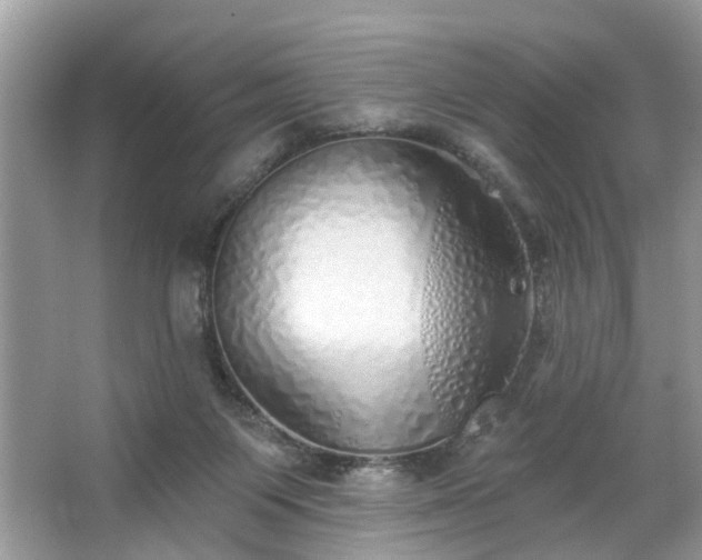 X0000063450119200601231402