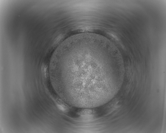 X0000063450123200601231402