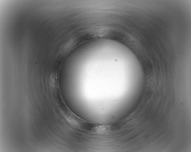 X0000063450126200601231402