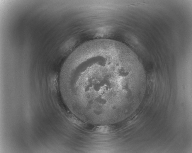 X0000063450127200601231402