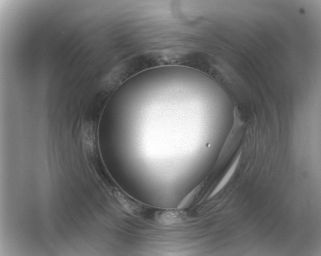 X0000063450129200601231402