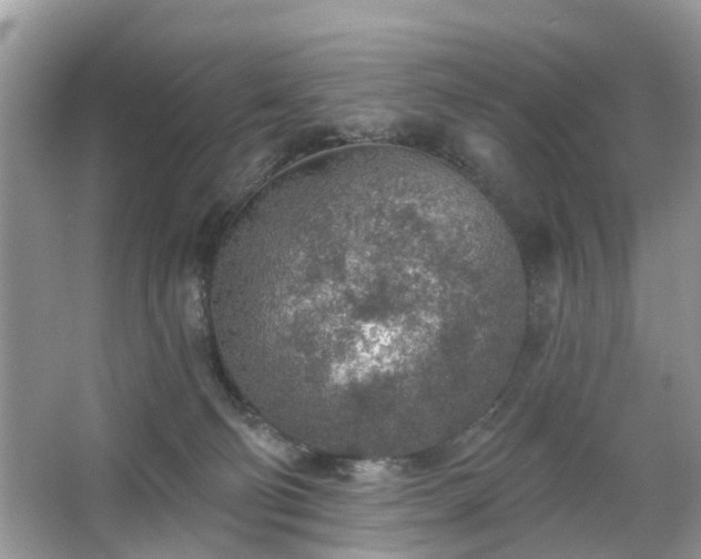 X0000063450130200601231402