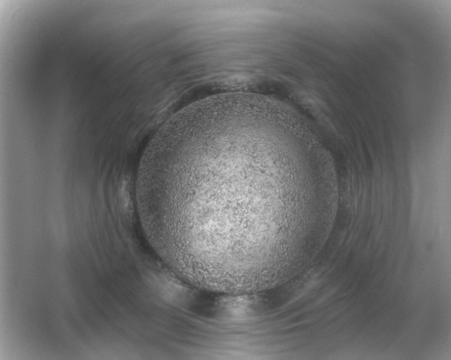 X0000063450131200601231402