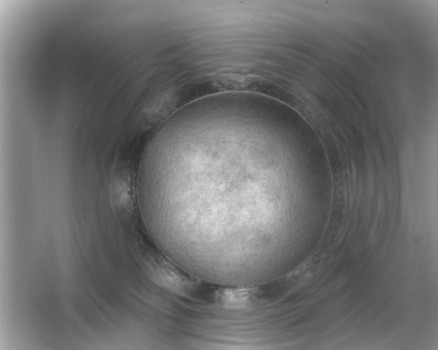 X0000063450134200601231402