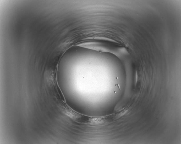 X0000063450141200601231402