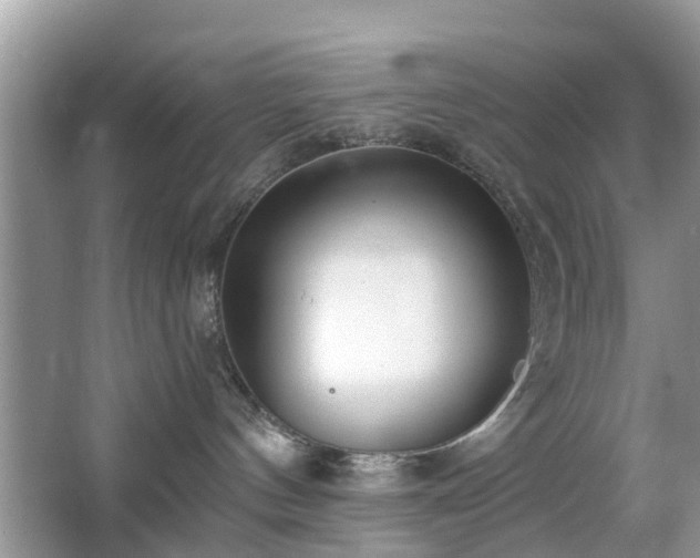 X0000063450144200601231402