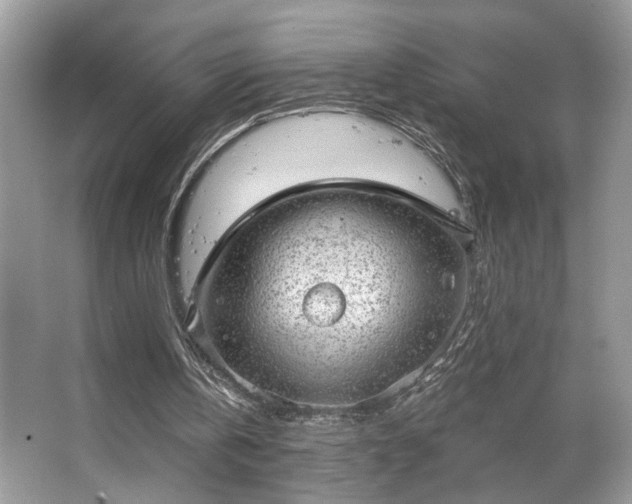 X0000063450146200601231401