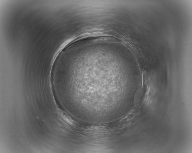 X0000063450147200601231401