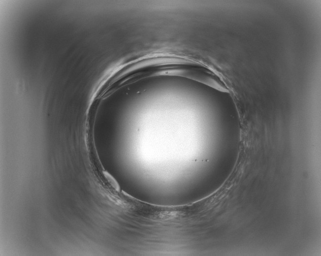 X0000063450152200601231401