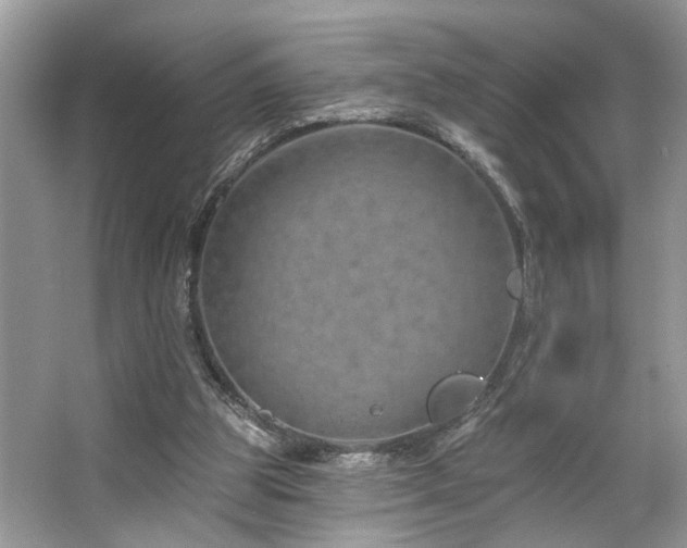 X0000063450153200601231401