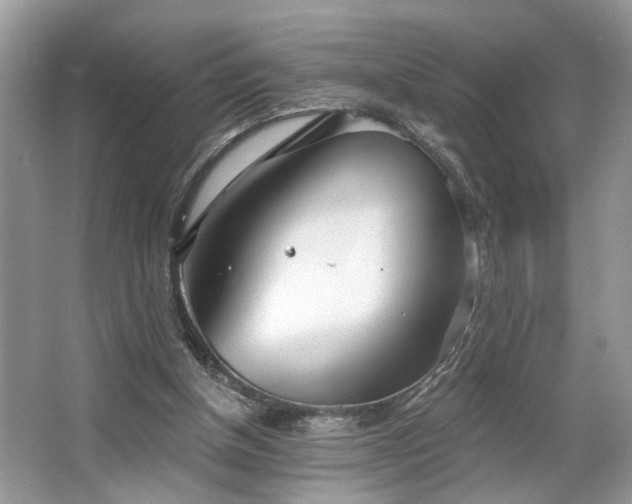 X0000063450154200601231401