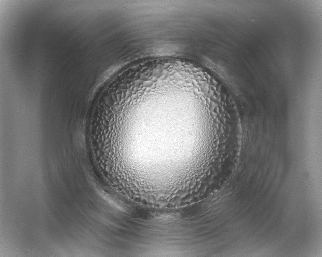 X0000063450155200601231401