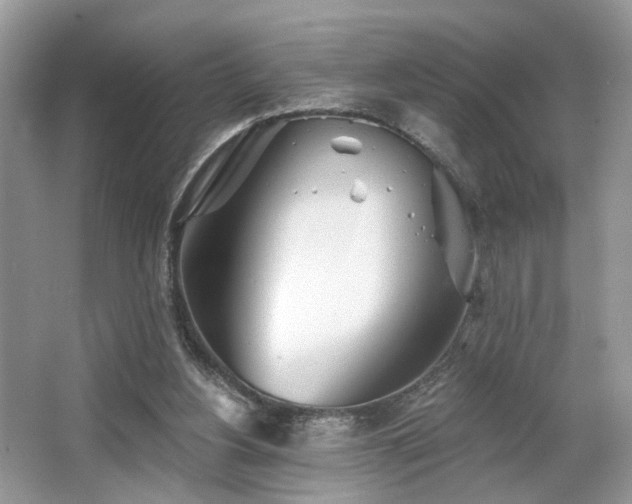 X0000063450156200601231401