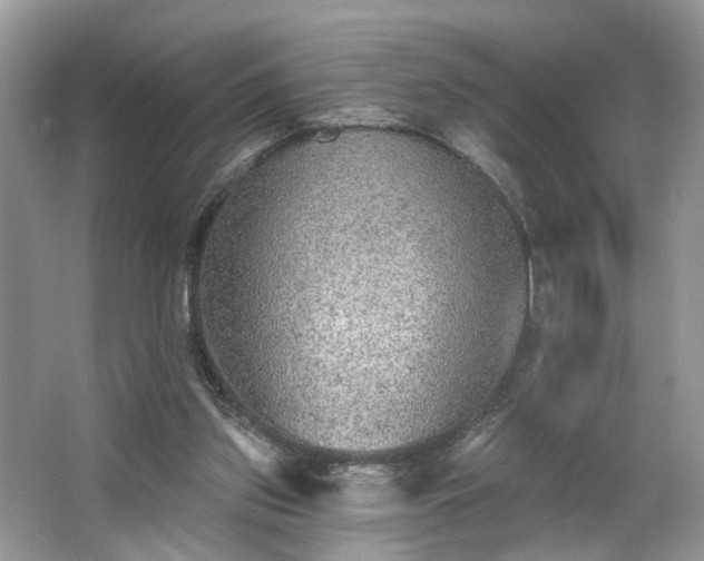 X0000063450157200601231401