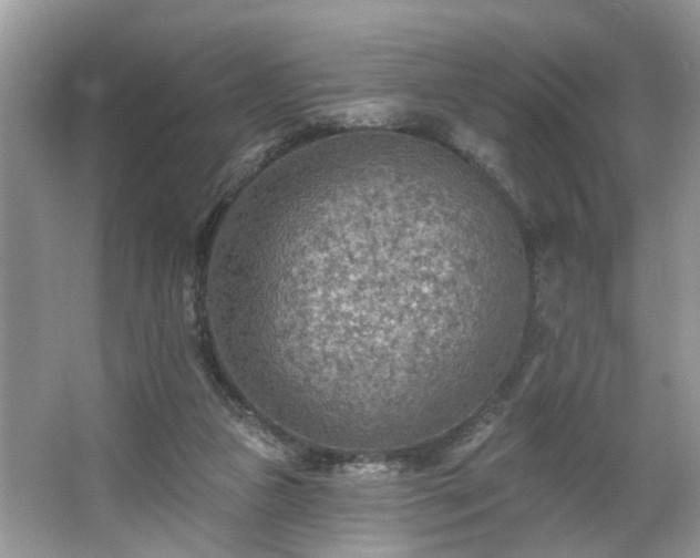 X0000063450161200601231401