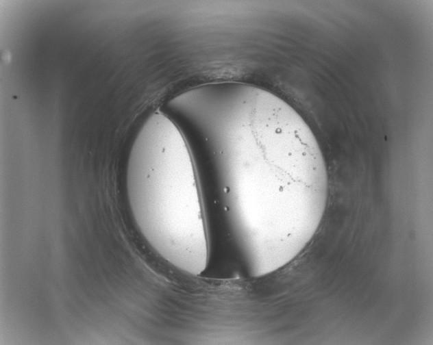 X0000063450162200601231401