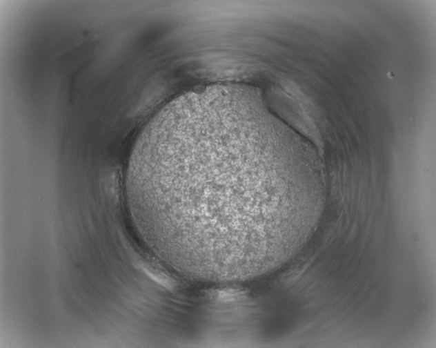 X0000063450165200601231401