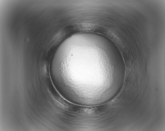 X0000063450166200601231401