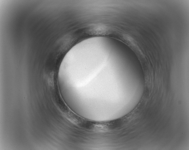 X0000063450167200601231401